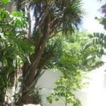 Jardin Alquiler Temporada Zona Alem Mar Del Plata Buenos Aires