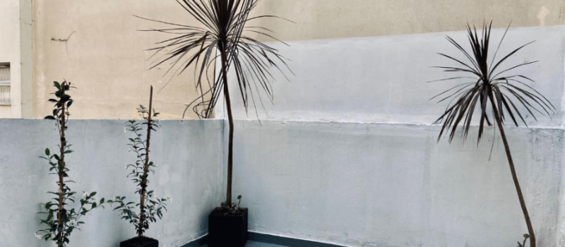 Alquiler de Departamento 2 Amb A La Calle La Perla (1142 Avenida Independencia) en Mar del Plata Buenos Aires Argentina Alquiler de Departamento 2 Amb A La Calle La Perla (1142 Avenida Independencia) en Mar del Plata Buenos Aires Argentina