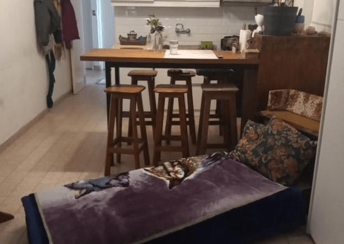 Captura De Pantalla Alquiler 2215 Martin Miguel Guemes Mar Del Plata Buenos Aires