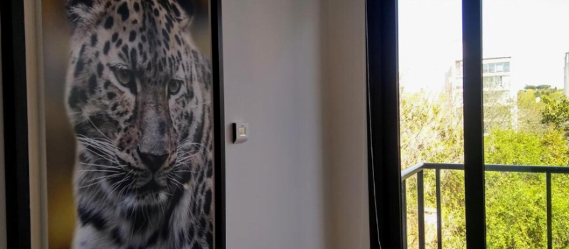 Captura De Pantalla Alquiler 304 San Lorenzo Mar Del Plata Buenos Aires