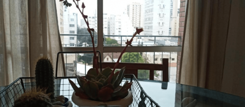 Captura De Pantalla Alquiler A Nuevo En El Centro Moreno 2752 Mar Del Plata Buenos Aires