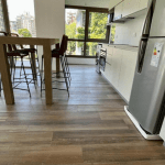 Captura pantalla del plata