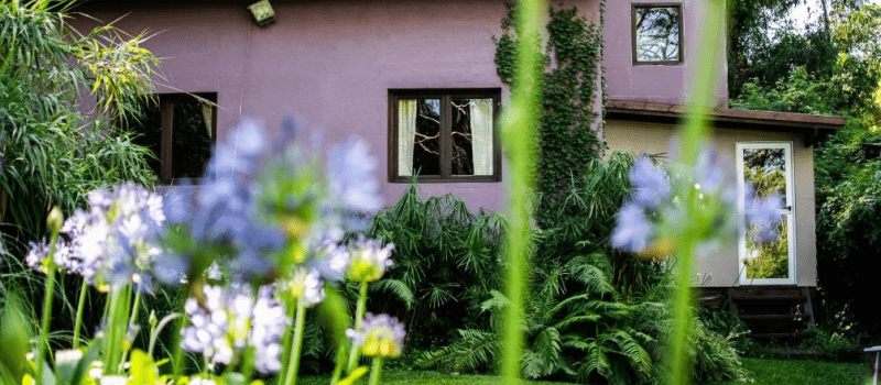 Captura De Pantalla Alquiler Bendita Pacha Mar Del Plata Buenos Aires