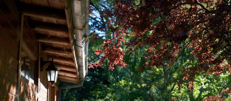 Captura De Pantalla Alquiler Cabana Amplia Calida Y Rodeada Naturaleza Mar Del Plata Buenos Aires