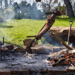 Captura pantalla cabana amplia calida y rodeada naturaleza