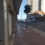 Captura De Pantalla Alquiler Calido Y Luminoso Mar Del Plata Buenos Aires