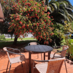 Captura pantalla chalet