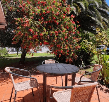 Captura De Pantalla Alquiler Chalet Mar Del Plata Buenos Aires