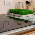 Captura De Pantalla Alquiler Chula Vista Con Al Mar En Punta Mogotes Del Plata Buenos Aires