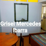 Captura De Pantalla Alquiler Departamento 2 Amb 2359 Alberti Mar Del Plata Buenos Aires