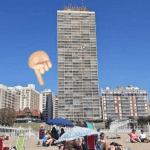 Captura De Pantalla Alquiler Departamento En Olavarria Mar Del Plata Buenos Aires