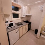 Captura pantalla departamento monoambiente zona casino