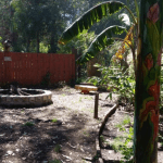 Captura De Pantalla Cabana Bosque Peralta Ramos Cabanas Nalu 2 Mar Del Plata Buenos Aires