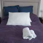 Captura pantalla hipolito yrigoyen entre gascon y alberti