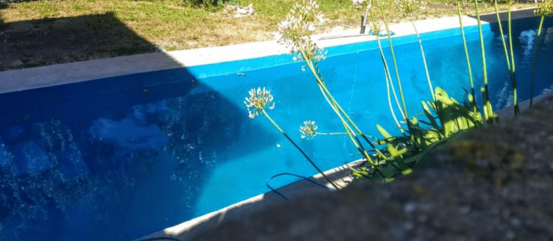 Captura De Pantalla Alquiler La Bruja Mar Del Plata Buenos Aires