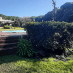 Captura De Pantalla Alquiler Pescadores 7600 Mar Del Plata Buenos Aires